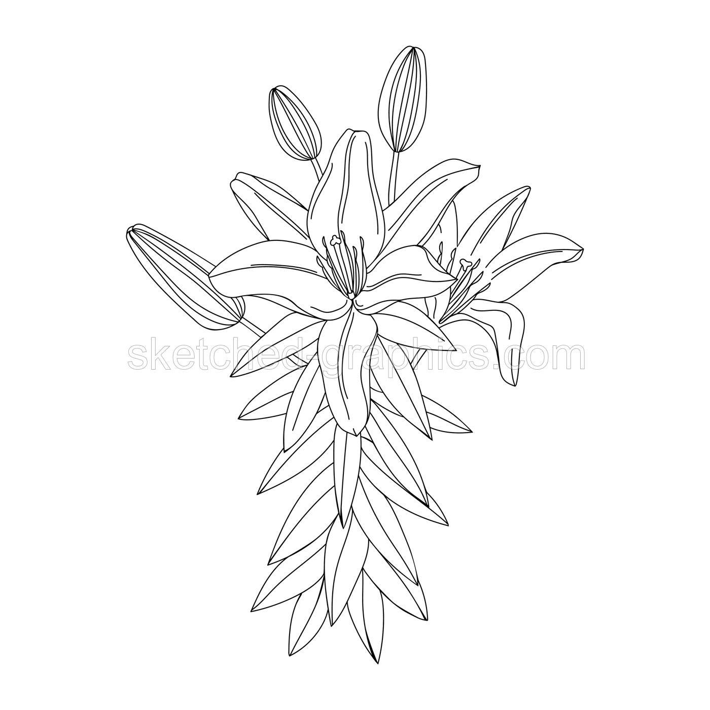 Lily flower illustration. Modern botanical drawing for pattern, logo, template, banner, posters, invitation and greeting card design. Black lily outline. Summer flower design. Illustration
